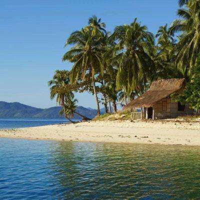 电子游戏bbin官方