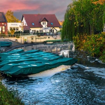 金博宝下载手机版